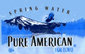 Pure American Spring Water - 1 GAL (3.78 L)